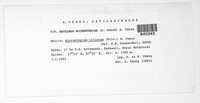 Image Associated With the Occurence